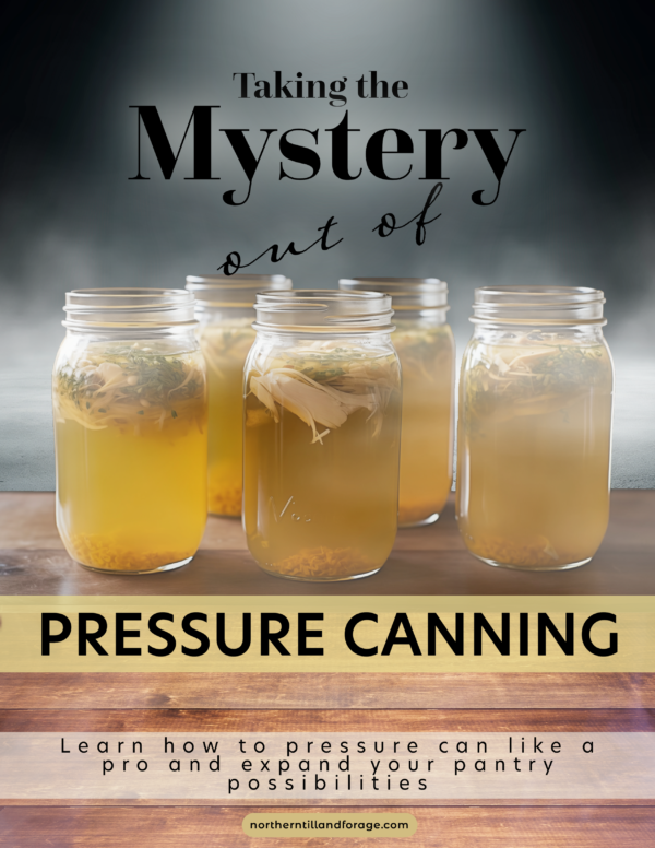 Taking the Mystery Out of Pressure Canning guide book